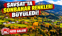 Şavşat'ta Sonbahar Renkleri Büyüledi! Yavuzköy'den Eşsiz Kareler