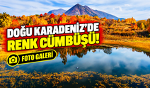 Karadeniz'de Renk Cümbüşü! Artvin'in Sahara Geçidi Kartpostallık Görüntülere Sahne Oldu