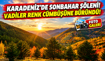 Gümüşhane'de Sonbahar Şöleni! Vadiler Renk Cümbüşüne Büründü