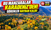 Artvin Şavşat'ta Sonbahar Büyüsü! Görenler Hayran Kaldı