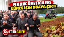 Fındığını Kurutamayan Üreticiler Çareyi Güneş Duasında Aradı