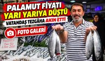 Palamut Fiyatı Yarı Yarıya Düştü: Vatandaş Tezgâha Akın Etti