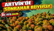 Artvin'de Sonbahar Büyüsü! Borçka Karagöl'ün Rengârenk Görüntüsü Hayran Bıraktı