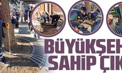 BÜYÜKŞEHİR KAMU MALINA SAHİP ÇIKTI