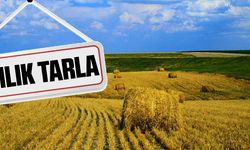 MUĞLA ORTACA'DA SATILIK TARLA