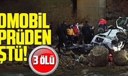 OTOMOBİL KÖPRÜDEN DÜŞTÜ!