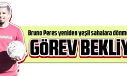PERES'İN FORMA HASRETİ BİTİYOR