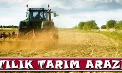 ADANA İMAMOĞLU'NDA SATILIK TARIM ARAZİSİ
