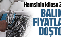 BALIK FİYATLARI DÜŞTÜ! 