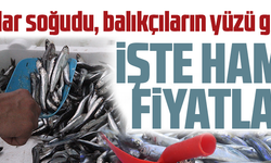 İŞTE HAMSİ FİYATLARI