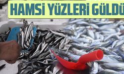 RİZE'DE HAMSİ YÜZLERİ GÜLDÜRDÜ