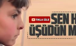 SEN HİÇ ÜŞÜDÜN MÜ?