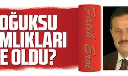 SOĞUKSU ÇAMLIKLARI NE OLDU? 