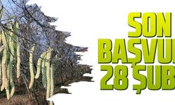 SON BAŞVURU 28 ŞUBAT