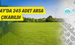 245 ADET ARSA SATILACAK