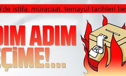 ADIM ADIM SEÇİME!