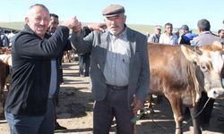 BAYBURT'TA CANLI HAYVAN PAZARI KAPATILDI