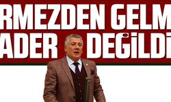 GÖRMEZDEN GELMEK KADER DEĞİLDİR