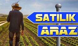 İZMİR BERGAMA'DA SATILIK TARIM ARAZİSİ