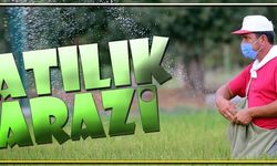 MERSİN YENİŞEHİR'DE SATILIK TARIM ARAZİSİ