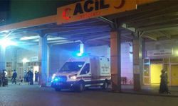 ORDU’DA OTOMOBİLİN ÇARPTIĞI KADIN HAYATINI KAYBETTİ