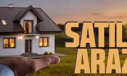 TRABZON ARAKLI’DA SATILIK EV VE BAHÇESİ