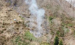 TRABZON’DA 2 İLÇEDE ÖRTÜ YANGINLARI YAŞANDI