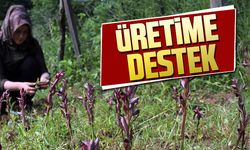 ÜRETİME DESTEK