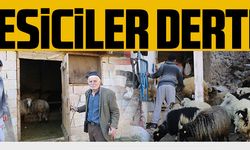 BESİCİLER DERTLİ