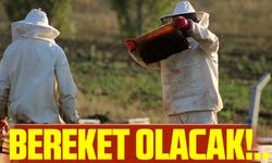 Yağmur arıcılara bereket olacak  