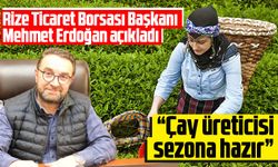 Çay üreticisi sezona hazır