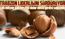 KIRK DÖRT ÜLKEYE FINDIK İHRAÇ EDİLDİ