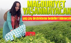 YAŞ ÇAY DESTEKLEME BEDELLERİ ÖDENECEK