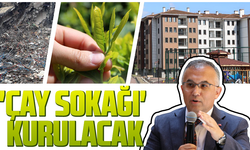 Rizeliler çay sokağı kuracak