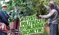 Fındık Fiyatları Ne Kadar? Fındığın Kilosu Kaç TL? İl İl Fiyat Tablosu Açıklandı