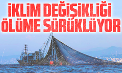  İklim değişikliği Karadeniz'i ölüme sürüklüyor