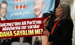 Suiçmez’den AK Parti’nin adaylarına zor sorular