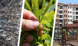 Rize’de çay sokağı projesine yoğun ilgi