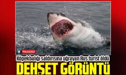 Köpekbalığı saldırısına uğrayan Rus turist öldü