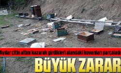 Ayılar çitin altını kazarak girdikleri alandaki kovanları parçaladı