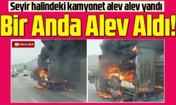 Seyir halindeki kamyonet alev alev yandı