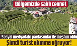 Rize’deki baklava görünümlü çay bahçesi turistlerin ilgisini çekiyor