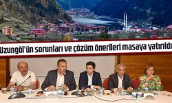 Uzungöl’ün sorunları ve çözüm önerileri masaya yatırıldı