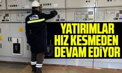 Çoruh Edaş'ın tesis çalışmaları tamamlandı