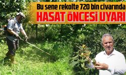 Fındıkta rekolte 720 bin civarında