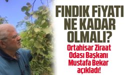 Mustafa Bekar 3.3 dolar fındık fiyatı beklediklerini söyledi