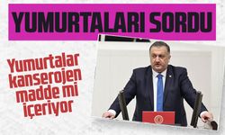 Hasan Karal Meclis'te Yumurtaları Sordu