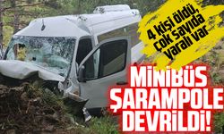 Erzincan'da minibüs şarampole devrildi! 