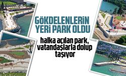 Gökdelenlerin yeri park oldu