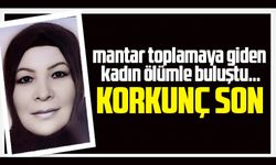 Samsun'da mantar toplamaya giden  Nebahat Kuru'nun korkunç sonu